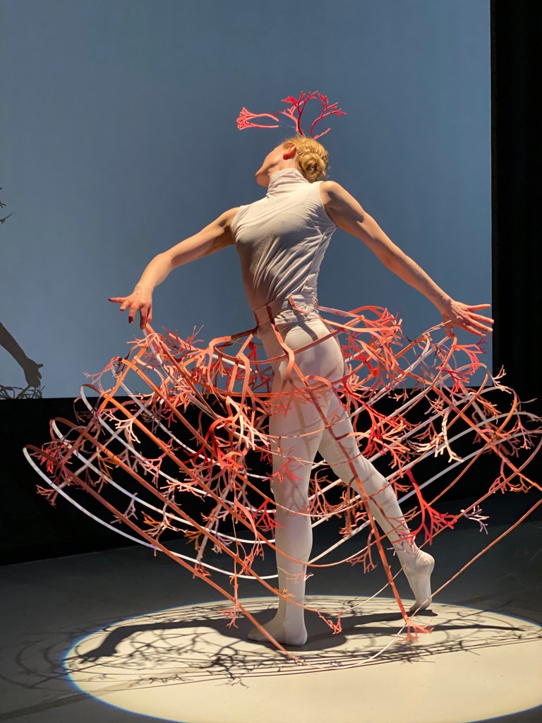 Dancer in a hoops skirt and spriggy head piece. 